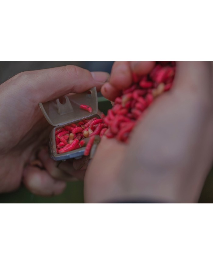 GURU PASTURATORI MULTI MAGGOT FEEDER GURU PASTURATORI MULTI MAGGOT FEEDER