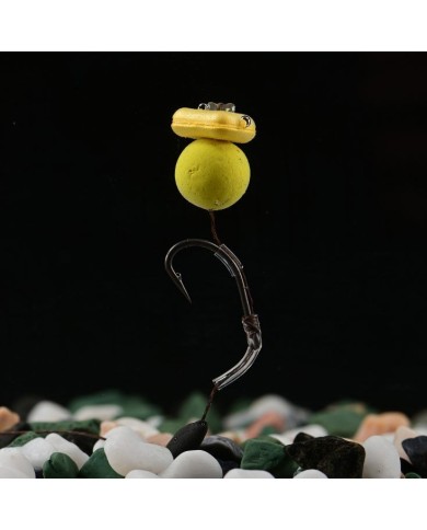 BKK AMI CARP CONTINENTAL BKK AMI CARP CONTINENTAL