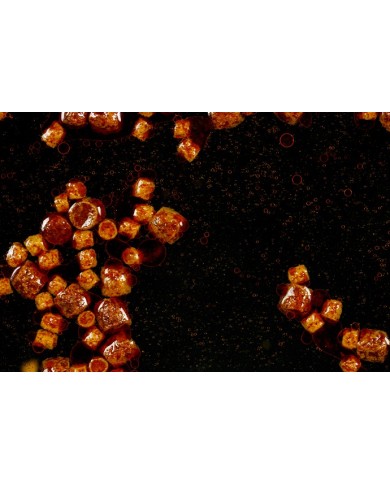 PELLET GALLEGGIANTE KRILL STICKY 3 MM 3 KG PELLET GALLEGGIANTE KRILL STICKY 3 MM 3 KG