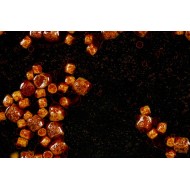 PELLET GALLEGGIANTE KRILL STICKY 3 MM 3 KG
