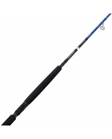 CANNA SAVAGE GEAR SGS2 OFFSHORE PLUG 2,5 MT CANNA SAVAGE GEAR SGS2 OFFSHORE PLUG 2,5 MT