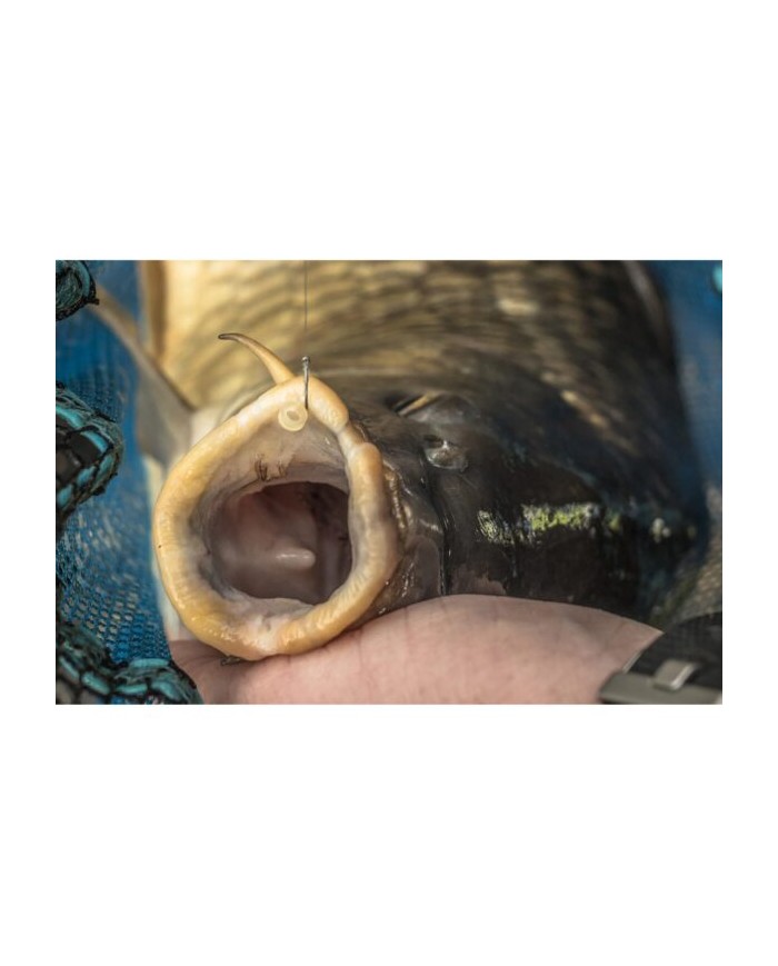 AMI PRESTON KKM-B EYED CON OCCHIELLO AMI PRESTON KKM-B EYED CON OCCHIELLO