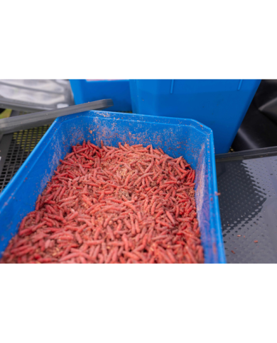 CONTENITORE PRESTON 6 PINTE BAIT TUBE CONTENITORE PRESTON 6 PINTE BAIT TUBE