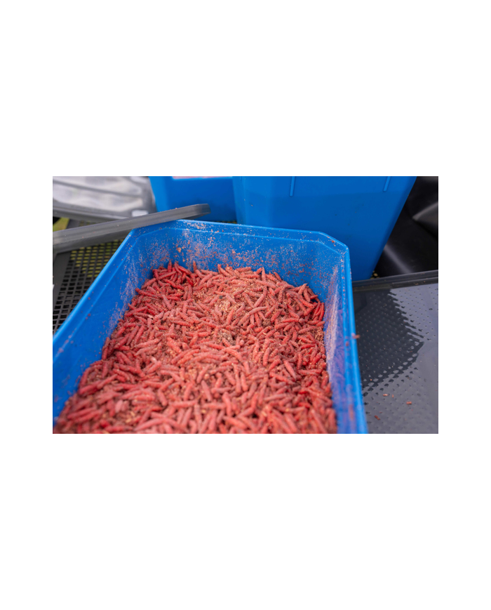 CONTENITORE PRESTON 6 PINTE BAIT TUBE CONTENITORE PRESTON 6 PINTE BAIT TUBE