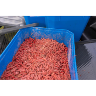 CONTENITORE PRESTON 6 PINTE BAIT TUBE CONTENITORE PRESTON 6 PINTE BAIT TUBE