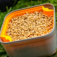 SETAGGIO PER BIGATTI GURU MAGGOT RIDDLE SETAGGIO PER BIGATTI GURU MAGGOT RIDDLE