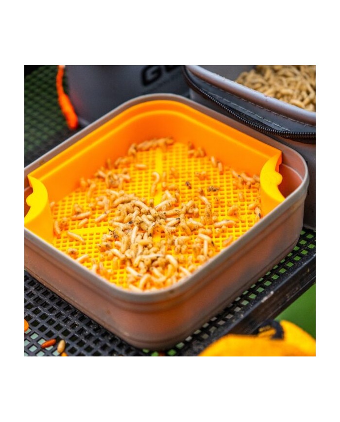 SETAGGIO PER BIGATTI GURU MAGGOT RIDDLE SETAGGIO PER BIGATTI GURU MAGGOT RIDDLE