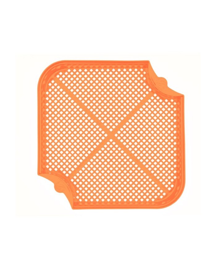 SETAGGIO PER BIGATTI GURU MAGGOT RIDDLE SETAGGIO PER BIGATTI GURU MAGGOT RIDDLE