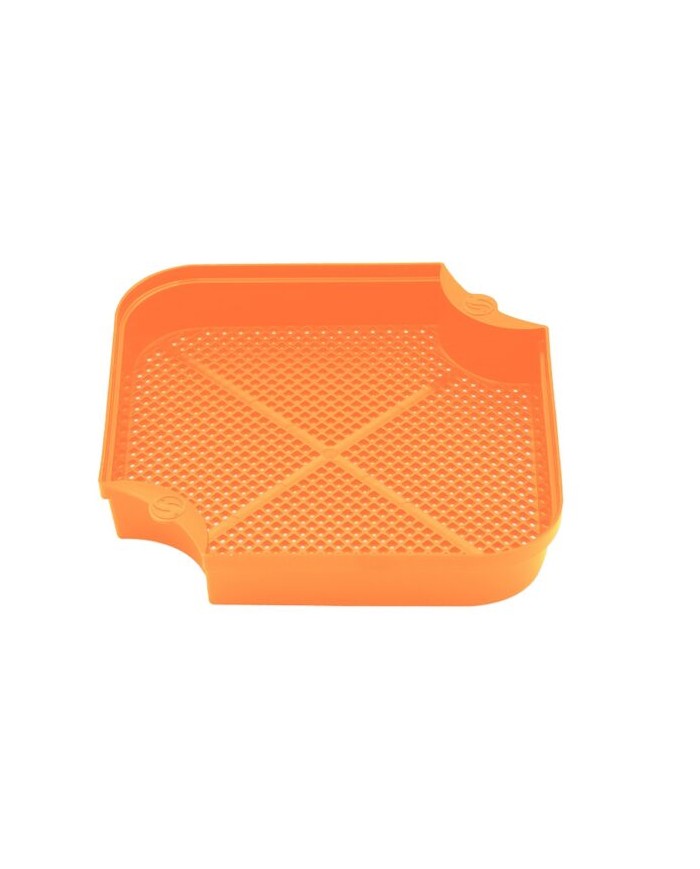 SETAGGIO PER BIGATTI GURU MAGGOT RIDDLE SETAGGIO PER BIGATTI GURU MAGGOT RIDDLE