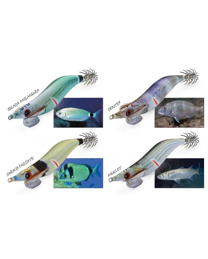 TOTANARE DTD WONDED FISH OITA 2.2 TOTANARE DTD WONDED FISH OITA 2.2