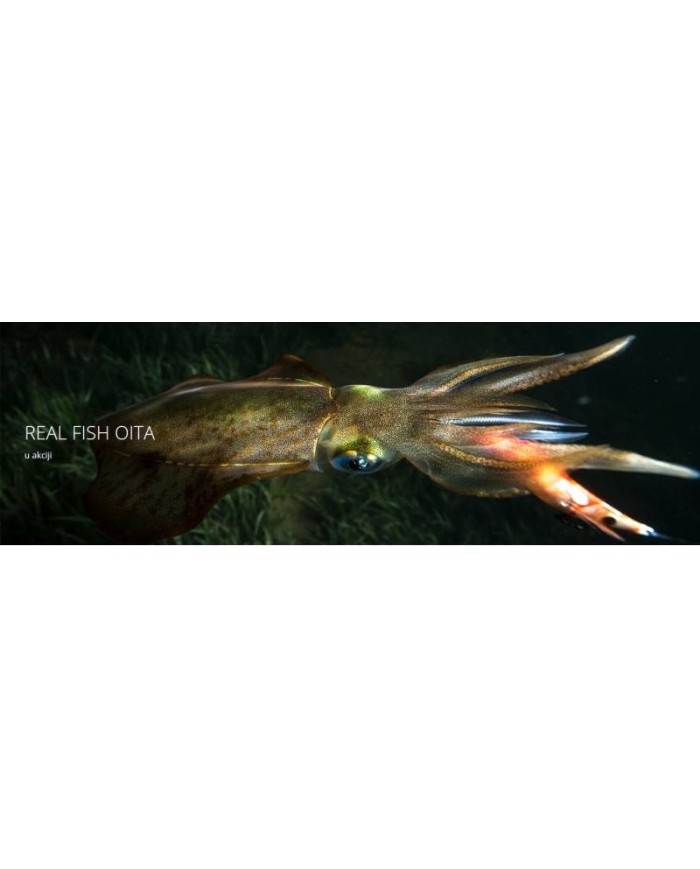 TOTANARA DTD REAL FISH OITA 2.5 TOTANARA DTD REAL FISH OITA 2.5