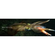 TOTANARA DTD REAL FISH OITA 2.5 TOTANARA DTD REAL FISH OITA 2.5