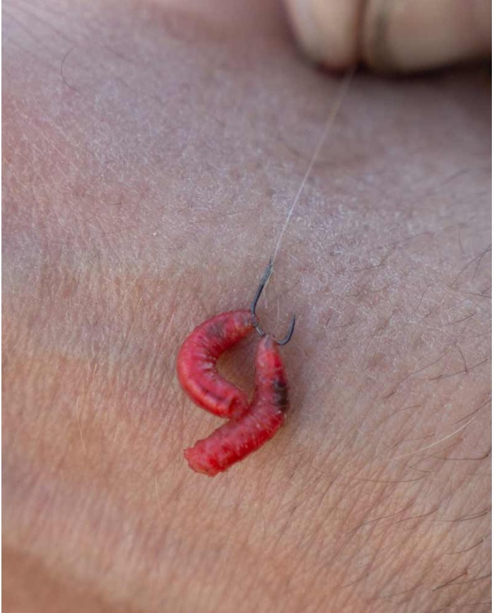 AMI MATRIX X2 COMMERCIAL F1 AMI MATRIX X2 COMMERCIAL F1