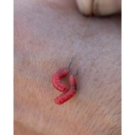 AMI MATRIX X2 COMMERCIAL F1 AMI MATRIX X2 COMMERCIAL F1