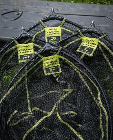 TESTA GUADINO GOMMATA MATRIX CARP LATEX TESTA GUADINO GOMMATA MATRIX CARP LATEX