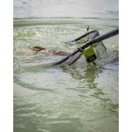TESTA GUADINO GOMMATA MATRIX CARP LATEX TESTA GUADINO GOMMATA MATRIX CARP LATEX