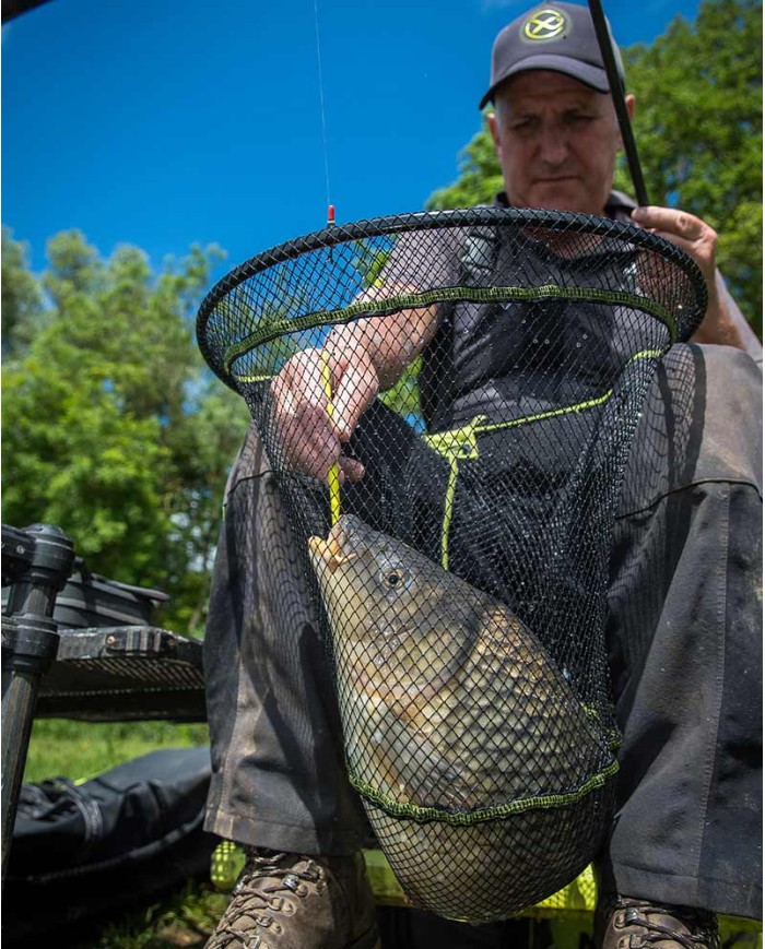 TESTA GUADINO GOMMATA MATRIX CARP LATEX TESTA GUADINO GOMMATA MATRIX CARP LATEX