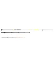 TUBERTINI GIUDECCA 2 CANNA MARE