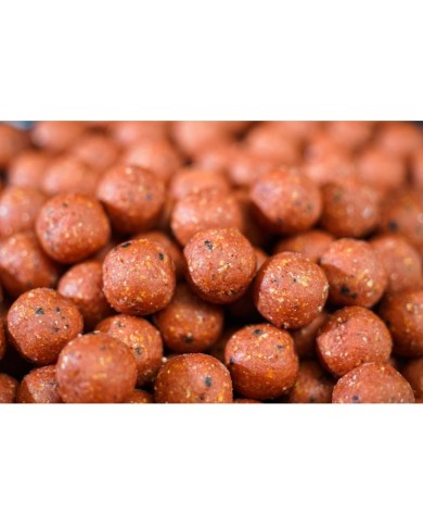 ANY WATER BOILIES B.L.B 5 KG BIG BAIT