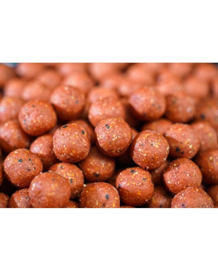 ANY WATER BOILIES B.L.B 5 KG BIG BAIT