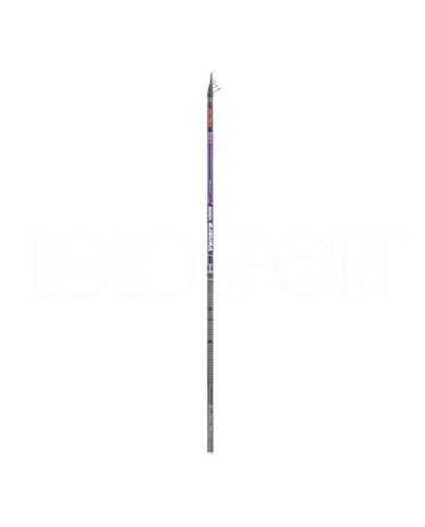CANNA FALCON VENERE VIOLA 6 MT