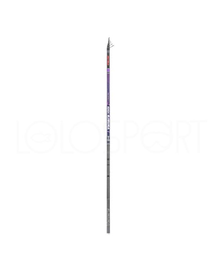 CANNA FALCON VENERE VIOLA 7 MT