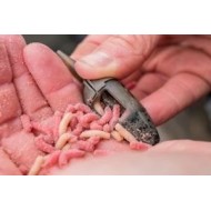 preston ICS in-line maggot feeder pasturatori preston ICS in-line maggot feeder pasturatori