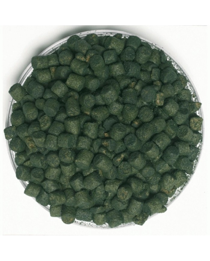 DYNAMITE SWIM STIM BETAINE PELLET