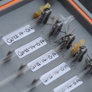 guru porta terminali-rig case