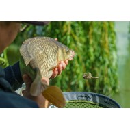 MATRIX PASTURATORE PELLET FEEDER