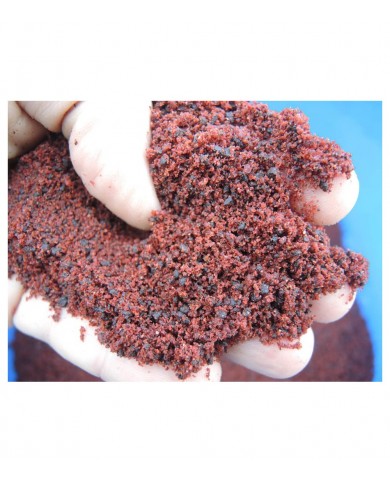 SONUBAITS PASTURA ROBIN RED SONUBAITS PASTURA ROBIN RED
