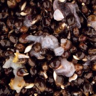 NASH SCOPEX SQUID HEMP NASH SCOPEX SQUID HEMP