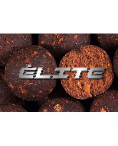 ANY WATER BOILIES ELITE BIG BAIT ANY WATER BOILIES ELITE BIG BAIT