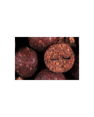 ANY WATER BOILIES SPEZIE BIG BAIT ANY WATER BOILIES SPEZIE BIG BAIT