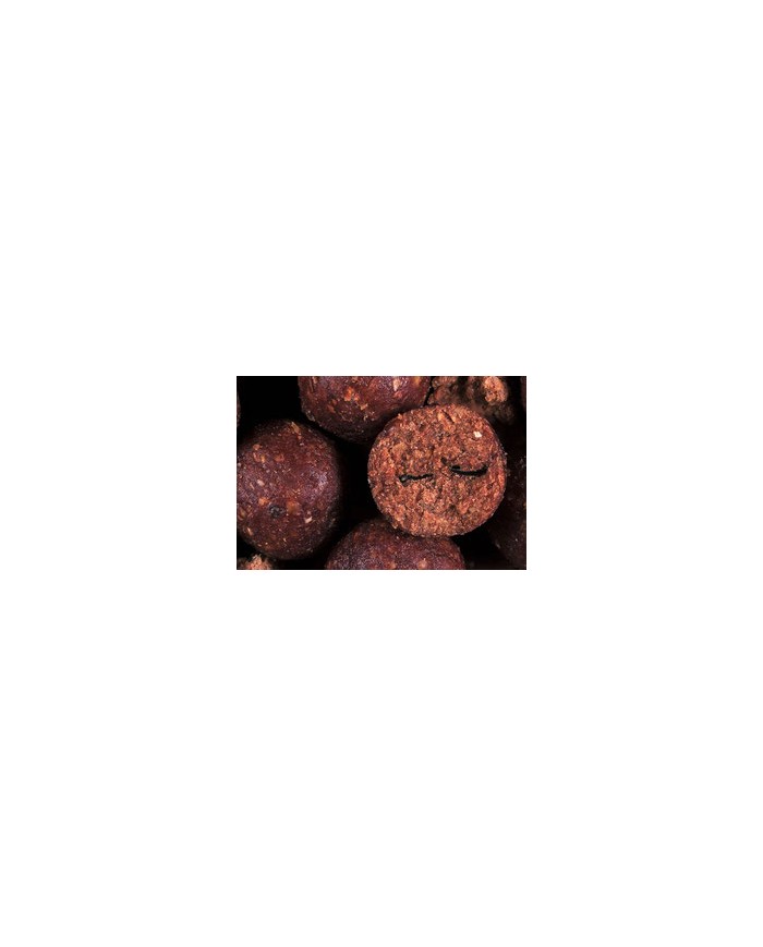 ANY WATER BOILIES SPEZIE BIG BAIT ANY WATER BOILIES SPEZIE BIG BAIT
