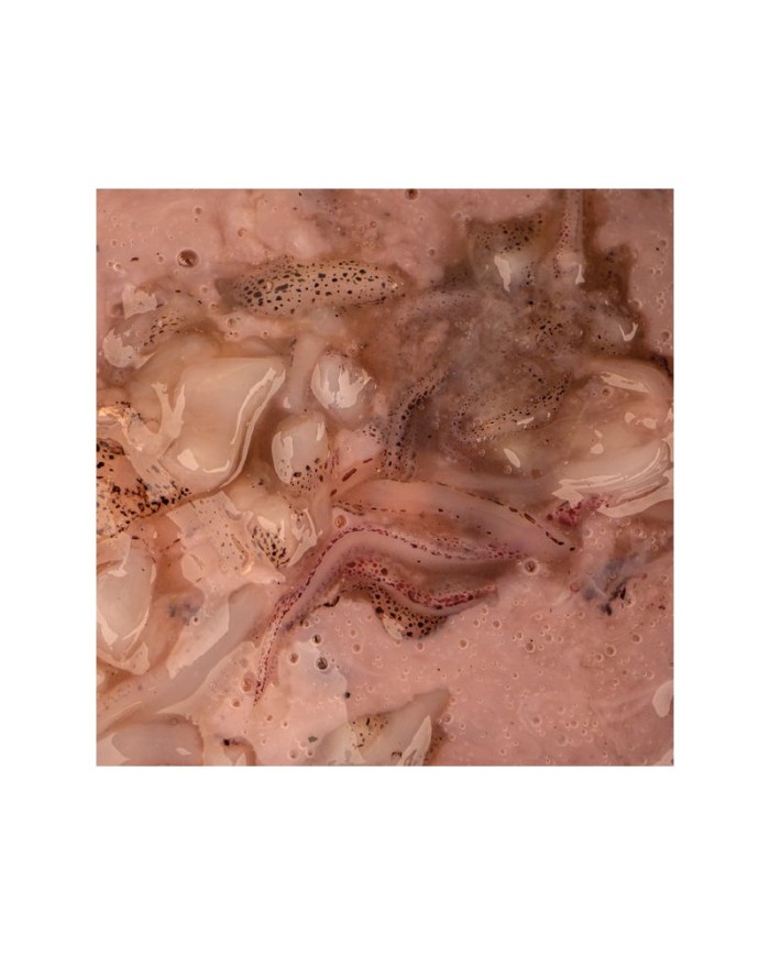 NASH SALTED SQUID NASH SALTED SQUID