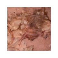 NASH SALTED SQUID NASH SALTED SQUID