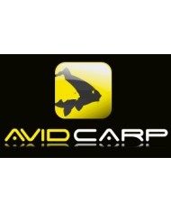 Avid Carp